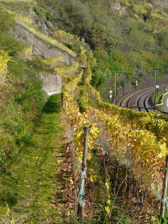 Gasthaus Weingut Stahl أوبرفيزل المظهر الخارجي الصورة