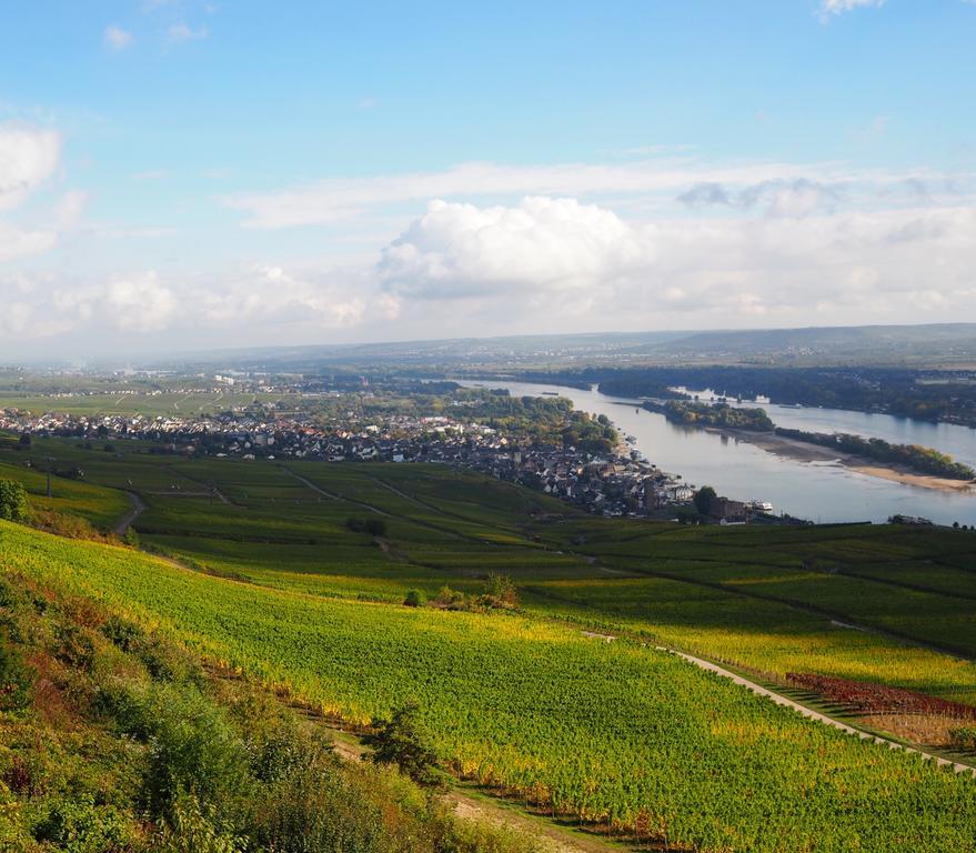 Gasthaus Weingut Stahl أوبرفيزل المظهر الخارجي الصورة