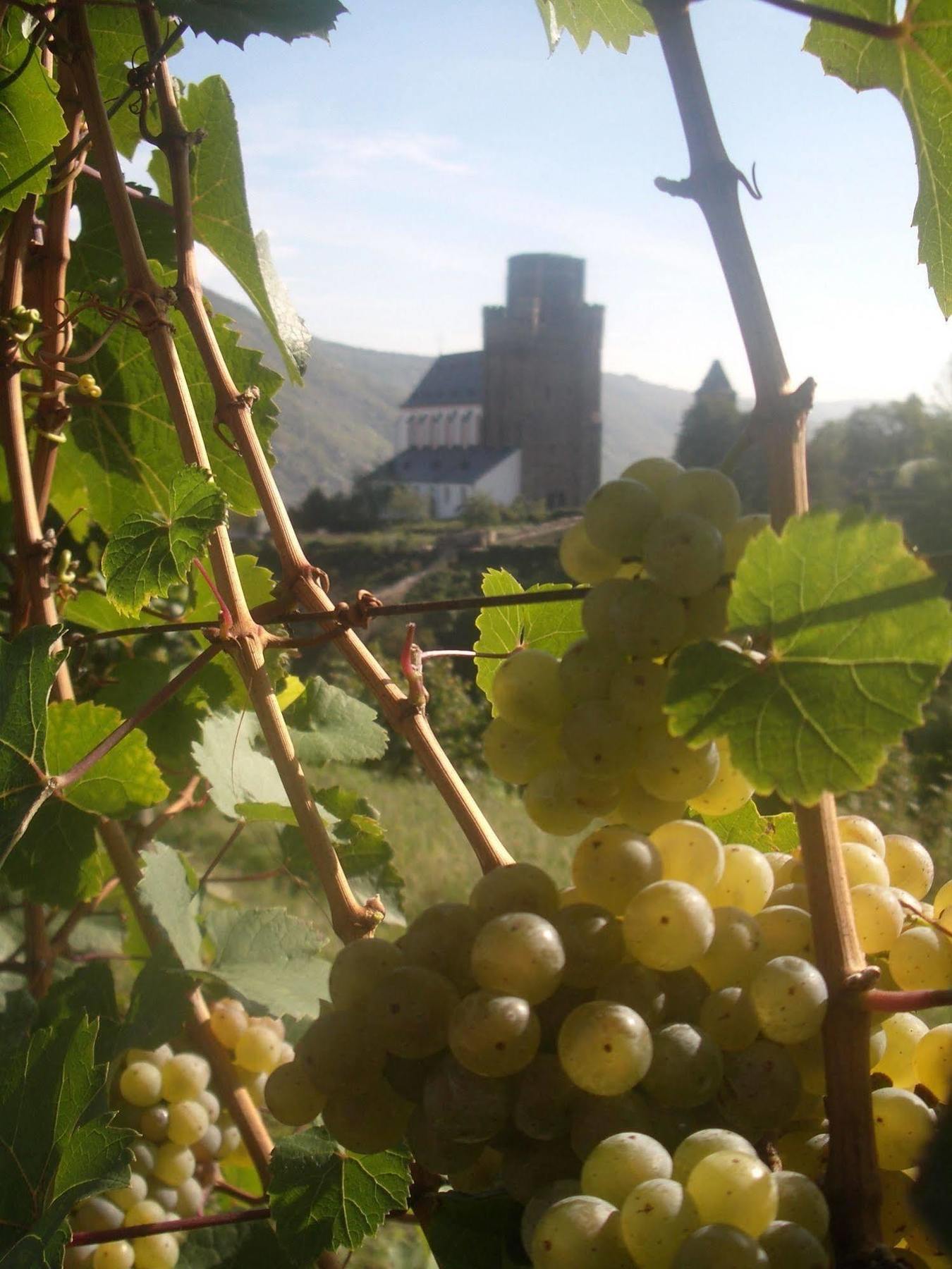 Gasthaus Weingut Stahl أوبرفيزل المظهر الخارجي الصورة